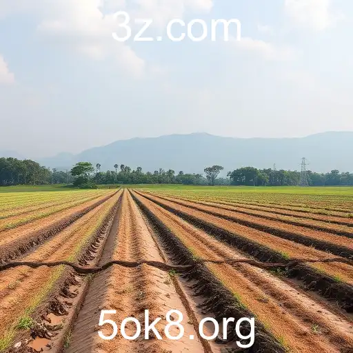 A Ascensão do 5ok8 no Mercado de Jogos Online